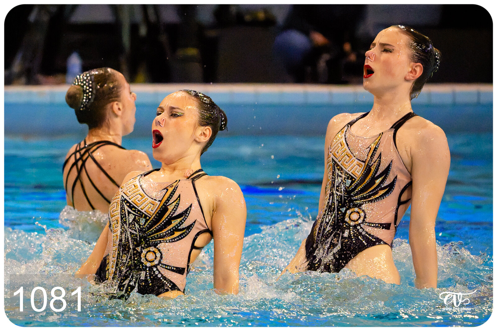 CHAMPIONNAT DE FRANCE DE NATATiON ARTISTIQUE N1 & ELITE 2026